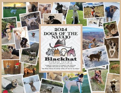 2024 Dogs of the Navajo calendar front