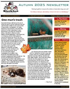 Fall 2025 newsletter thumbnail
