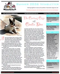 Summer 2026 Newsletter